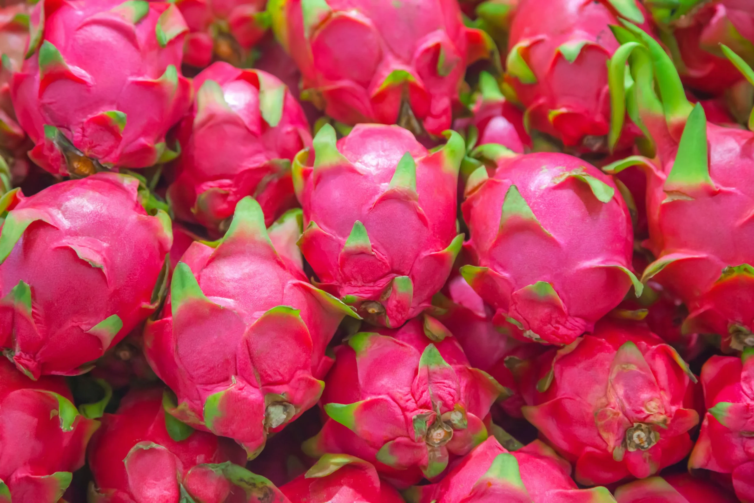 Dragon Fruit: The Exotic Superfood You Should Be Eating!