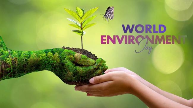 World Environment Day 2025: Date, Theme, History, Significance